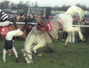 Get back on the horse SON!