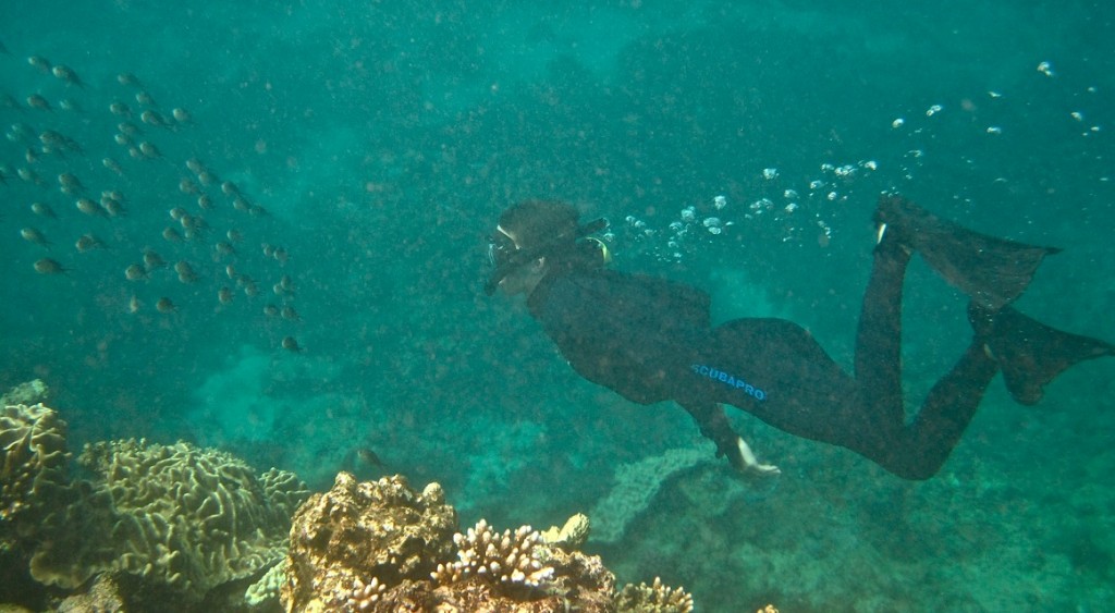 SnorkelSteve