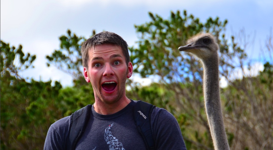 Ostrich