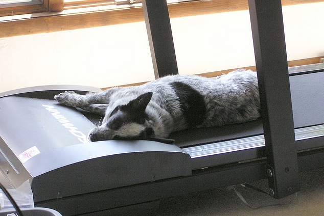 Treadmill