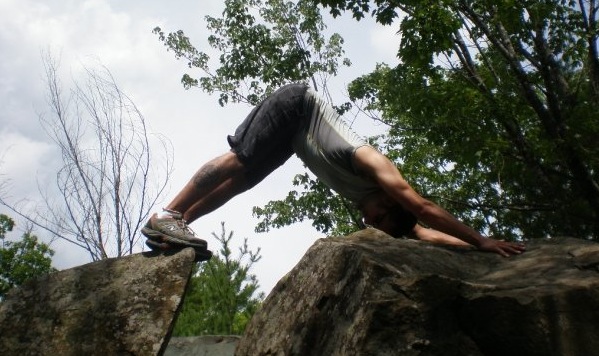 Downward Dog Downward Dog movement