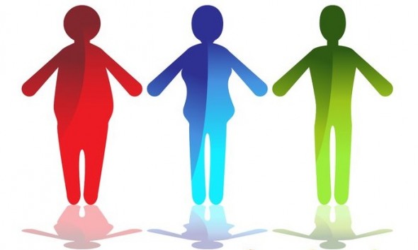 obese-overweight-inshape-cartoons Cartoons Body Fat Differences
