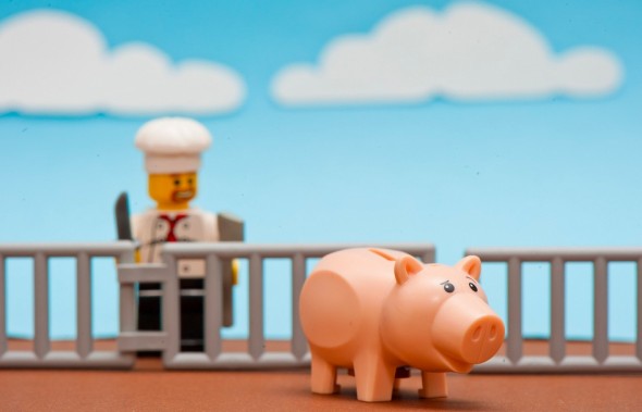 chef and lego pig chef and lego pig