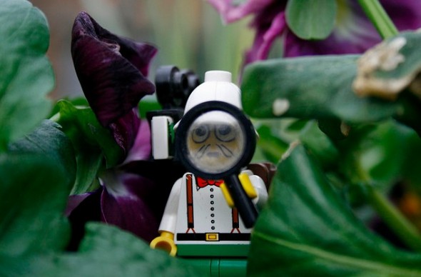 Lego Explorer Lego Explorer