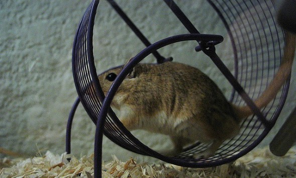 http://www.flickr.com/photos/sarae/24123666/