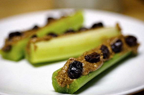 ants on a log