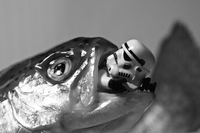 Lego Salmon Eating Lego Salmon Eating