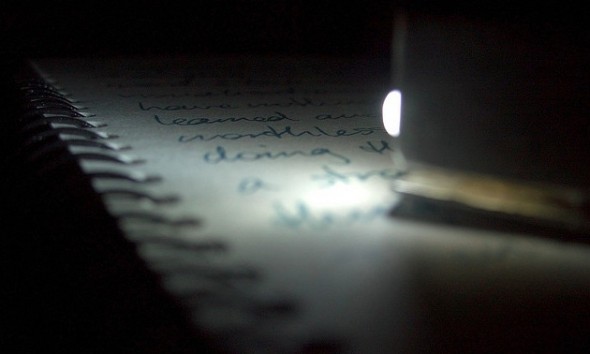 Journal