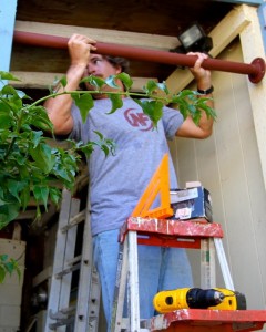 Dave Pull Up Bar