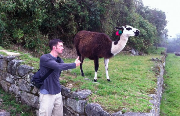 Steve Alpacca