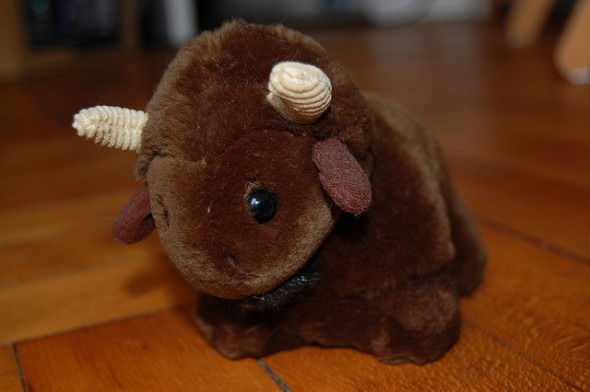 cute buffalo