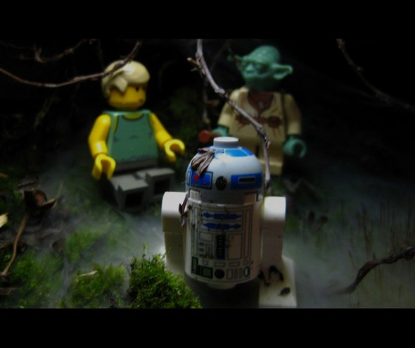 Luke Swamp