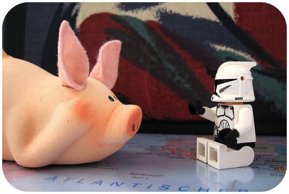 Bacon Pig and StormTrooper Bacon Pig and StormTrooper